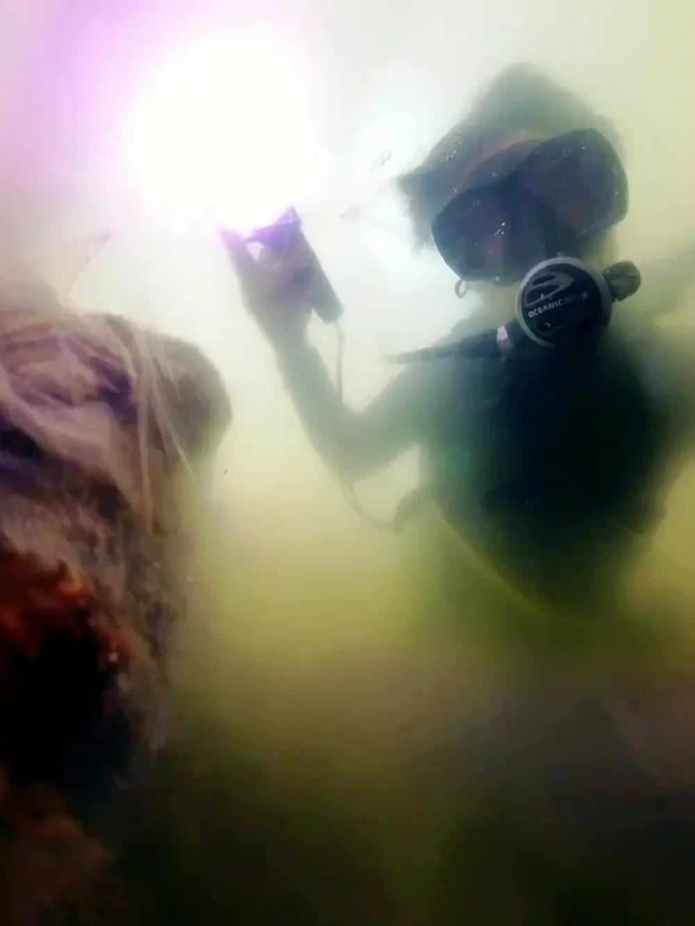 VID_20241107_124523_00_004_2024-11-18_13-58-11_screenshot